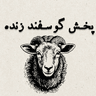 گوسفند زنده همراه با قصاب