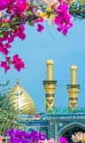 کاروان زیارتی کربلا معلی