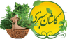 کاشان سبزی