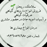 سلامتکده گیاهان دارویی ریحان
