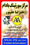 سورتینگ بادام علیرضا علیپور