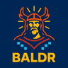 نورپردازی و تابلوسازی بالدر baldr